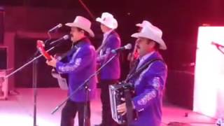 ACARICIAME MUJER CARDENALES DE NUEVO LEON SALAMANCA 2016