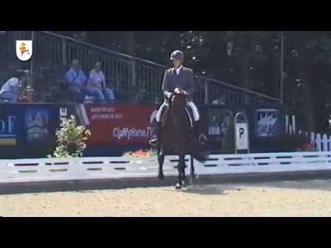 Don Darius (english)