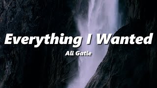 Ali Gatie - Everything I Wanted (slowed + reverb)