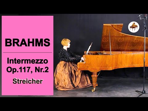 Brahms Intermezzo Op 117, Nr 2 b-moll by V. Sofronitsky / Streicher piano copy by Paul McNulty
