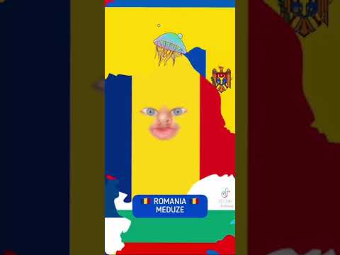 Jellyfish in different languages | Ifluent