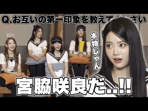 ヘリアンティ - 定義