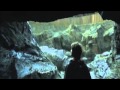 Harry Potter Amv Foo Fighters Best Of You