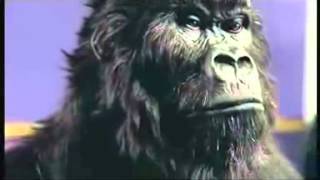 Cadbury (Mondelez)