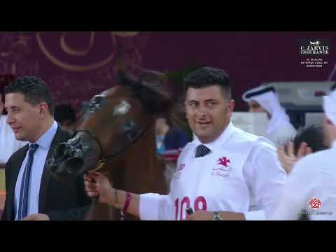 N 109 IBTIHAL ALJASSIMYA   Al Shaqab International Arabian Horse Show 2024   Fillies 2 Years Old Cla