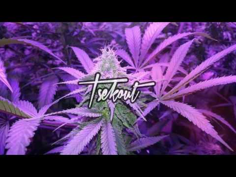 Bugle x Shaggy - Ganja (Henry Fong Remix)