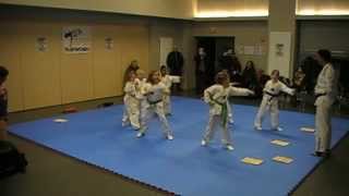 preview picture of video 'démonstration de Taekwondo - club de Villers Ecalles 22 03 2014'