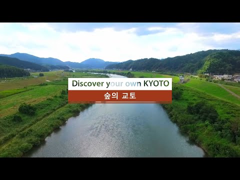 Discover your own KYOTO | 숲의 교토 |  2min | 한국어 버전|