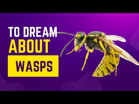 What does it mean to Dream about WASPS? Discover the dream meaning and dream interpretation