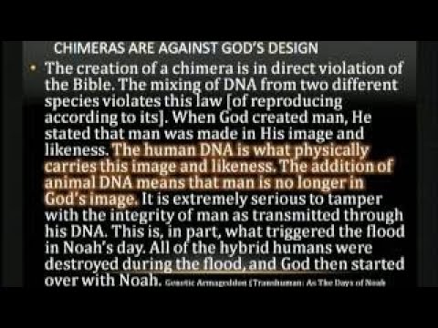 Helsingborg eller AIK är kvar i Europa League,Ukraina Rysk truppuppbyggnad