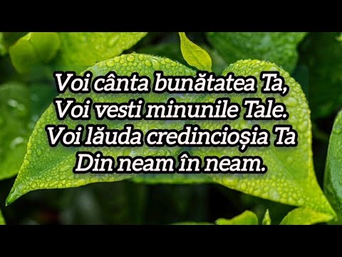 Voi canta bunatatea Ta - |Revive  - negativ cu versuri - cover