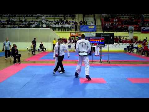 IVAN GUBANI v PILINKEVYCH DMYTRO