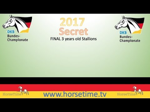 Secret @ Bucha 2017 Final 3 Years old Stallions