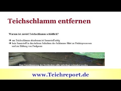 Teichschlamm entfernen, Phosphate binden - Video: So geht Ihr Gartenteich topfit in die Wintersaison