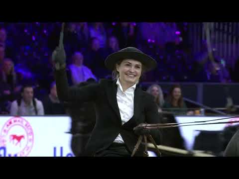 HK 2026 – Horses2fly KFPS sportcompetition showdriving stallions/geldings – Spanish