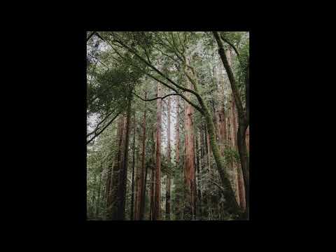 [FREE] skele, guardin, midwest emo type beat | "marsha"