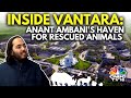 Inside Anant Ambani S Vantara Reliance Foundation S Animal Rescue Care Facility N18V