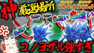 【また神イベ】ここ色違いでやすすぎだろ！最強コノヨザル最強でわろた～～【ポケモンSV・ゆっくり実況】