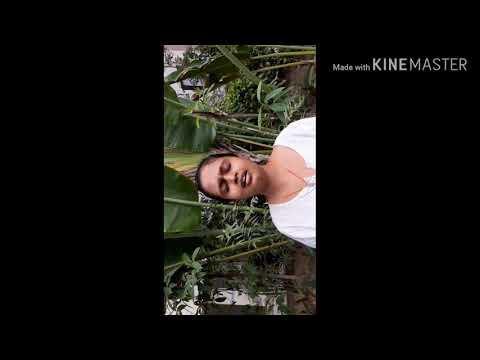 Vasudha  DK Ninna snehadinda - mugulu nage