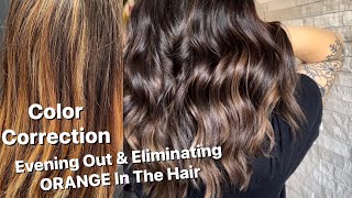 COLOR CORRECTION | Evening Out & Eliminating ORANGE In The Hair