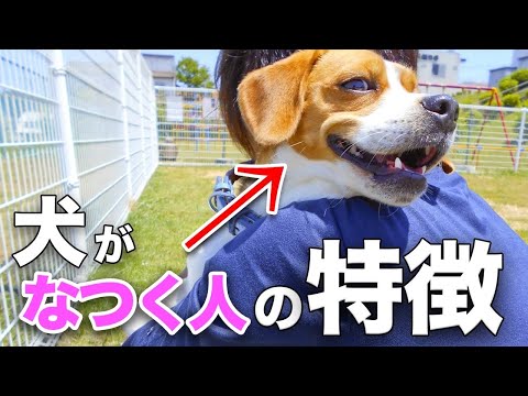 犬とその特徴