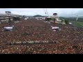 Rise Against - Audience of One [live at Rock am Ring 2010]