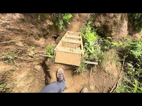 Don't Buy Lowa Renegade GTX Evo Mid Boots Until You Watch This