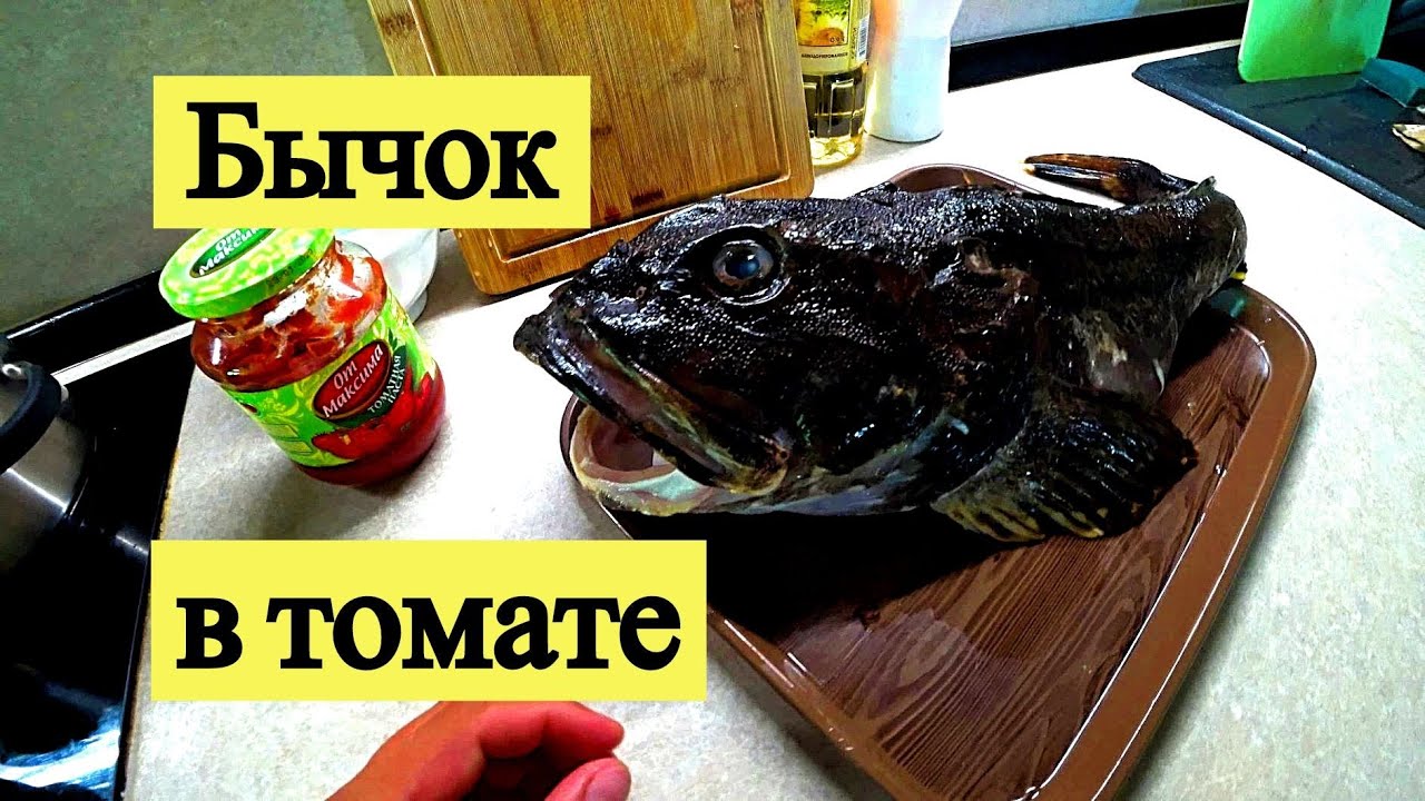 Как приготовить морского Бычка в томате