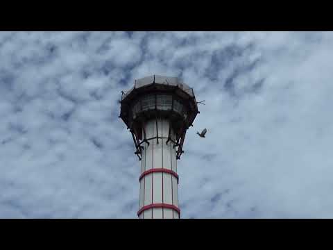 View Tower akan Jadi Tiang Bendera Tertinggi 