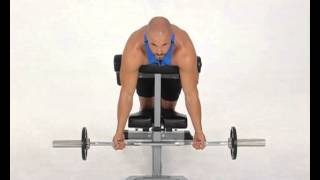 EZ Bar Spider Curl Workout