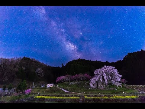 ご希望に近い写真を販売致します イメージ1