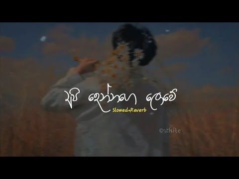 අපි දෙන්නගෙ ලොවේ | Slowed+Reverb | Api dennage lowe| සෑමදා මං ඔබේ