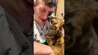 Dog Found Shaking In A Ditch Now Dances With Her Whole Body | The Dodo