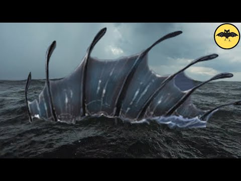 10 Terrifying Titans That Lived In Our Prehistoric Oceans.