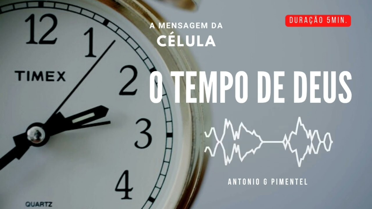 TEMPO DE DEUS | A Mensagem da Célula