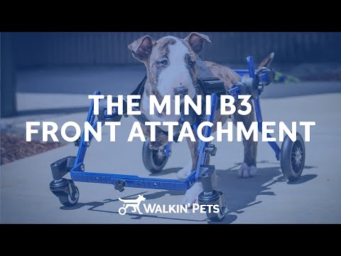 Přední nástavec Walkin' Wheels Mini B3 - instruktážní video