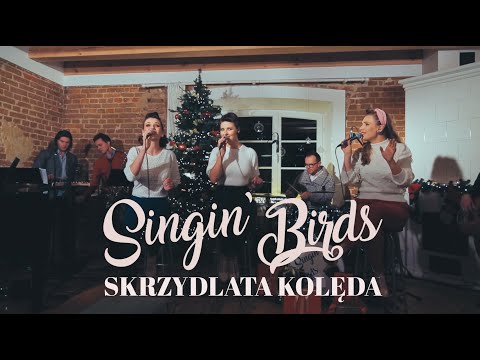 Singin' Birds - Skrzydlata Kolęda - koncert live