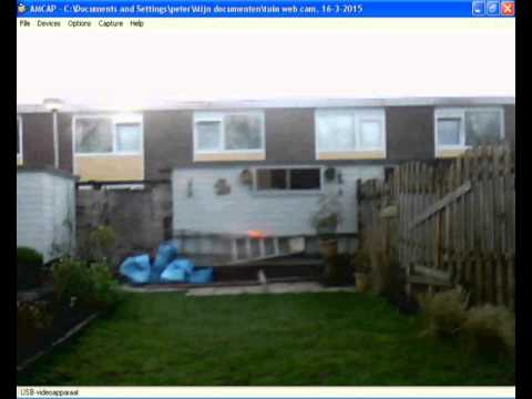 hoogvliet   meeuwenplaat mijn tuin cam 13 1 2016