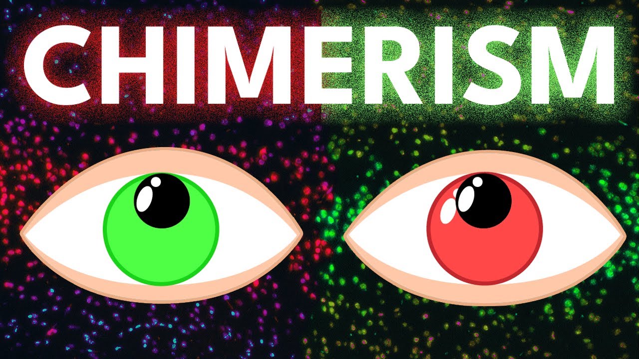 Signs There Might Be Someone Else Inside You 🧬