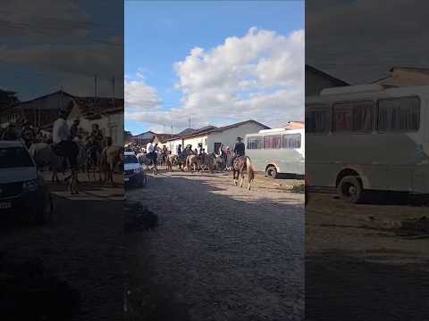 cavalgada em fronteira dos vales #nixonmachadovariedades #compartilhe#fronteiradosvalesmg #cavalgada