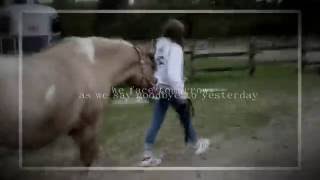 Wherever you go - Sunny