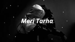 Akhil Redhu - Meri Tarha (Lyrics)