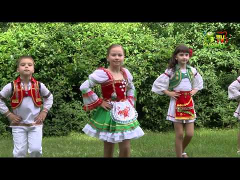 Mihaela Bologan - Fir de busuioc