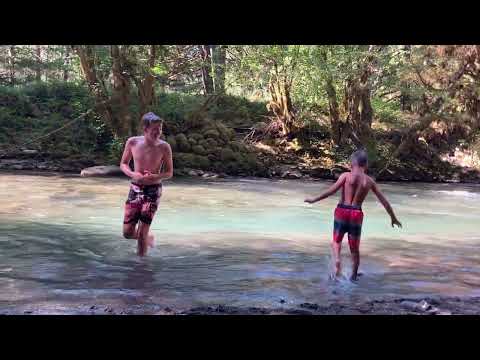 A random spot along the Cowlitz River between the campground and the swimming hole along a deer trail.