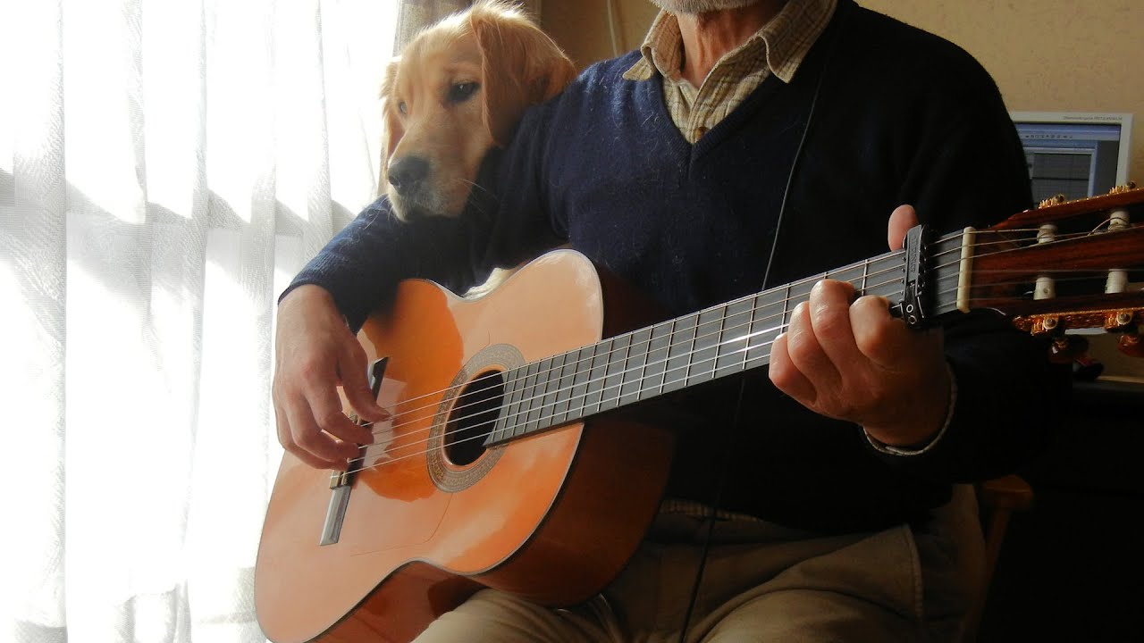 コーヒールンバ　独り二重奏（Moliendo Café）