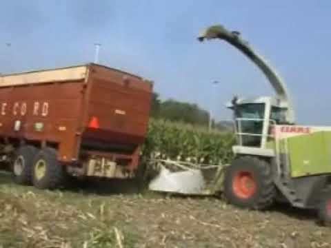 Ketels: Mais hakselen.