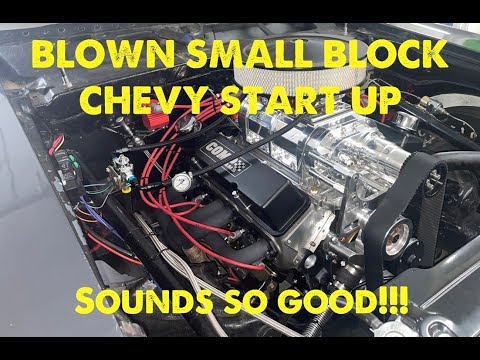 Supercharged Small Block Chevy Start Up (So LOUD!!)