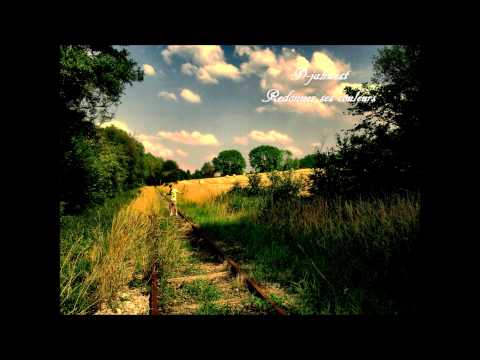 D-jahwest - Redonner ses couleurs