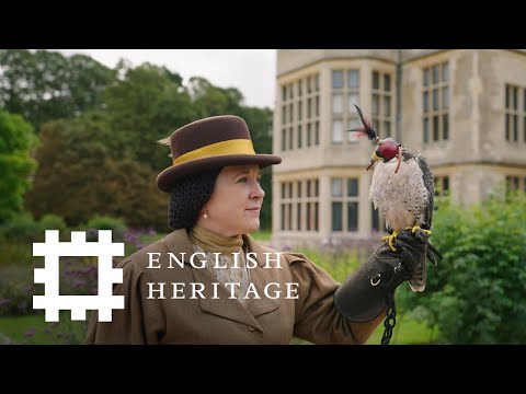 Falconry Through the Ages