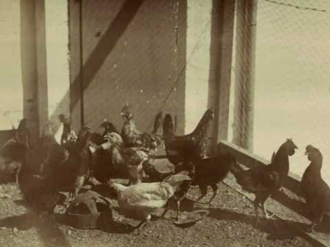 Bein el barah wa youm sung by Djafar Youcef